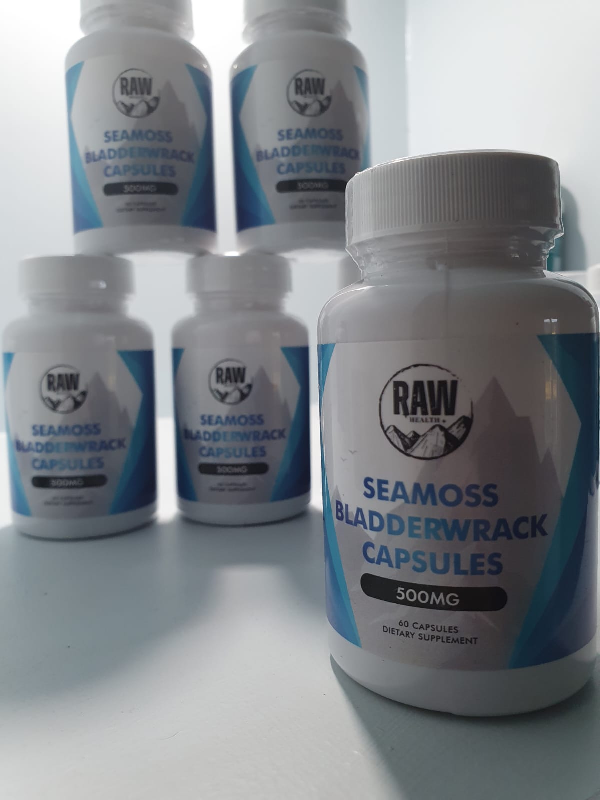 Seamoss & Bladderwrack
